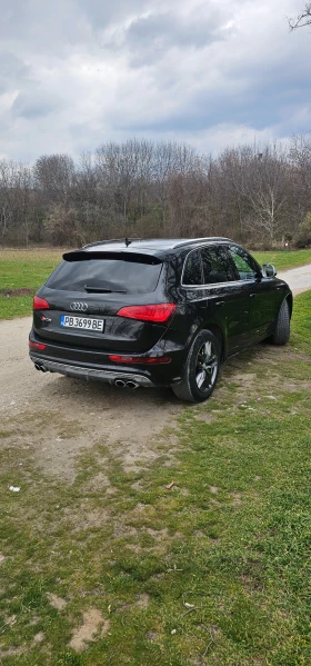 Audi SQ5 - 18000 € / 35204.94 лв. - 35853867 3