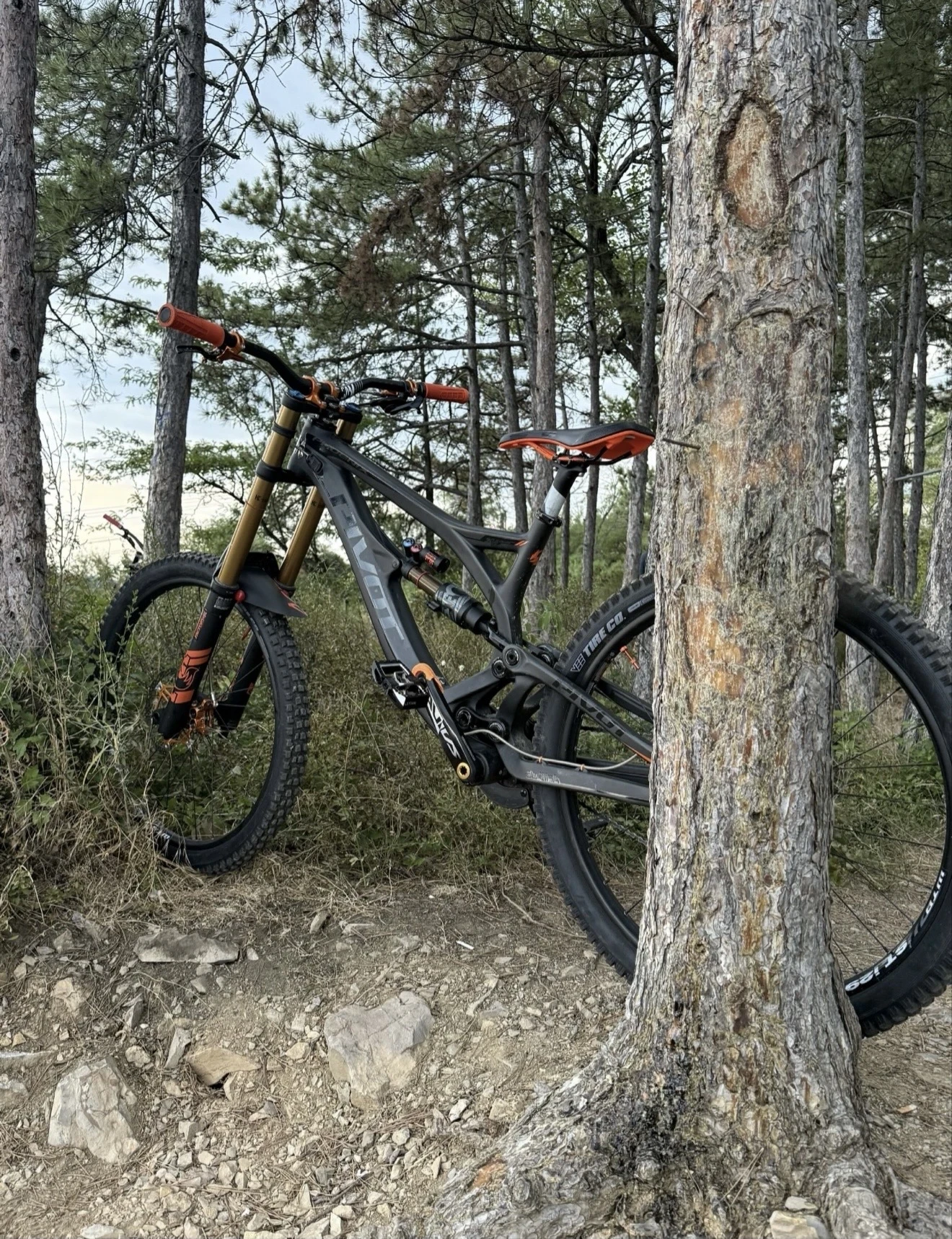  Pivot Phoenix | Mobile.bg   8