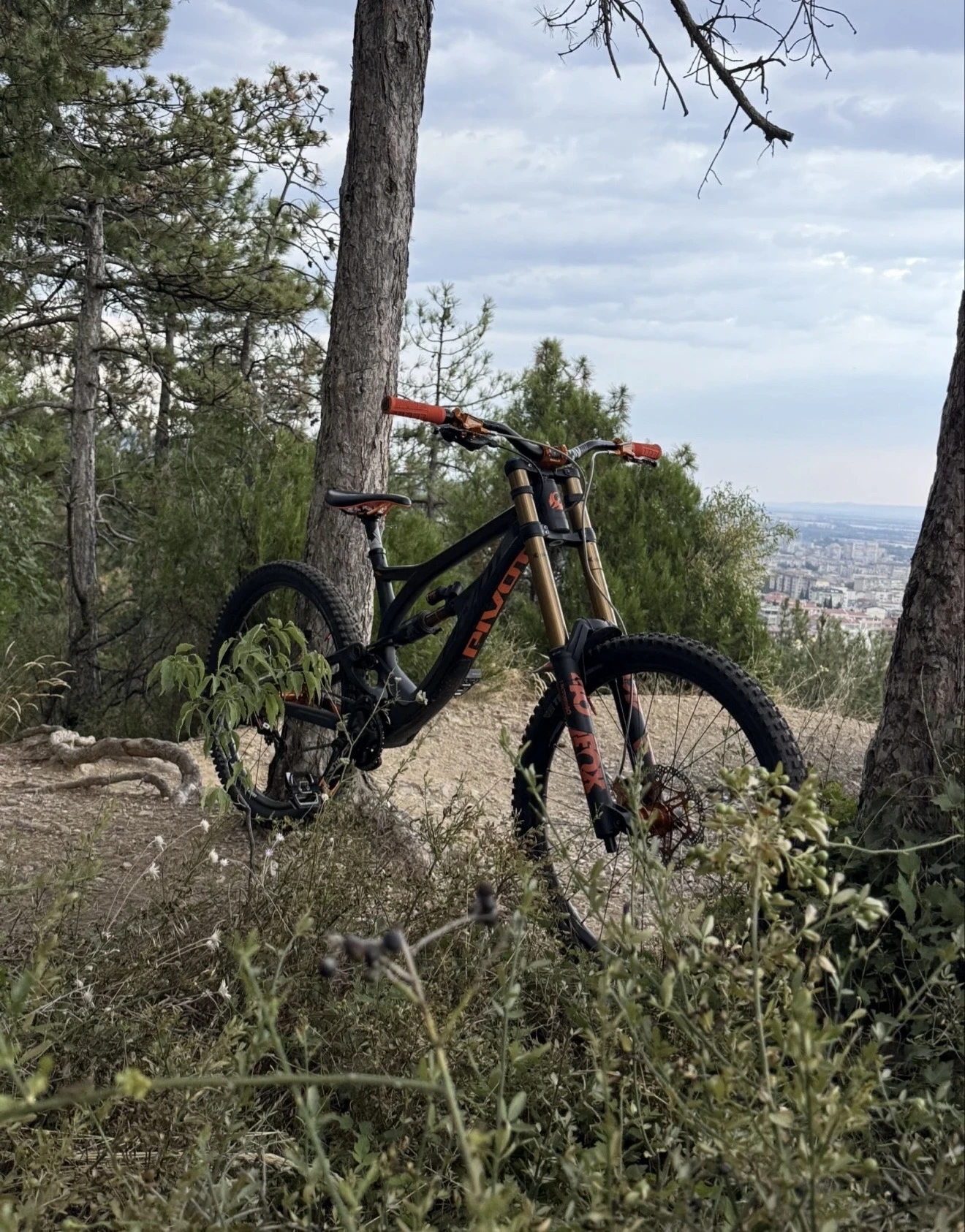  Pivot Phoenix | Mobile.bg   7