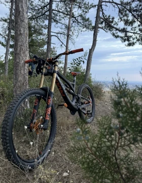  Pivot Phoenix | Mobile.bg    6