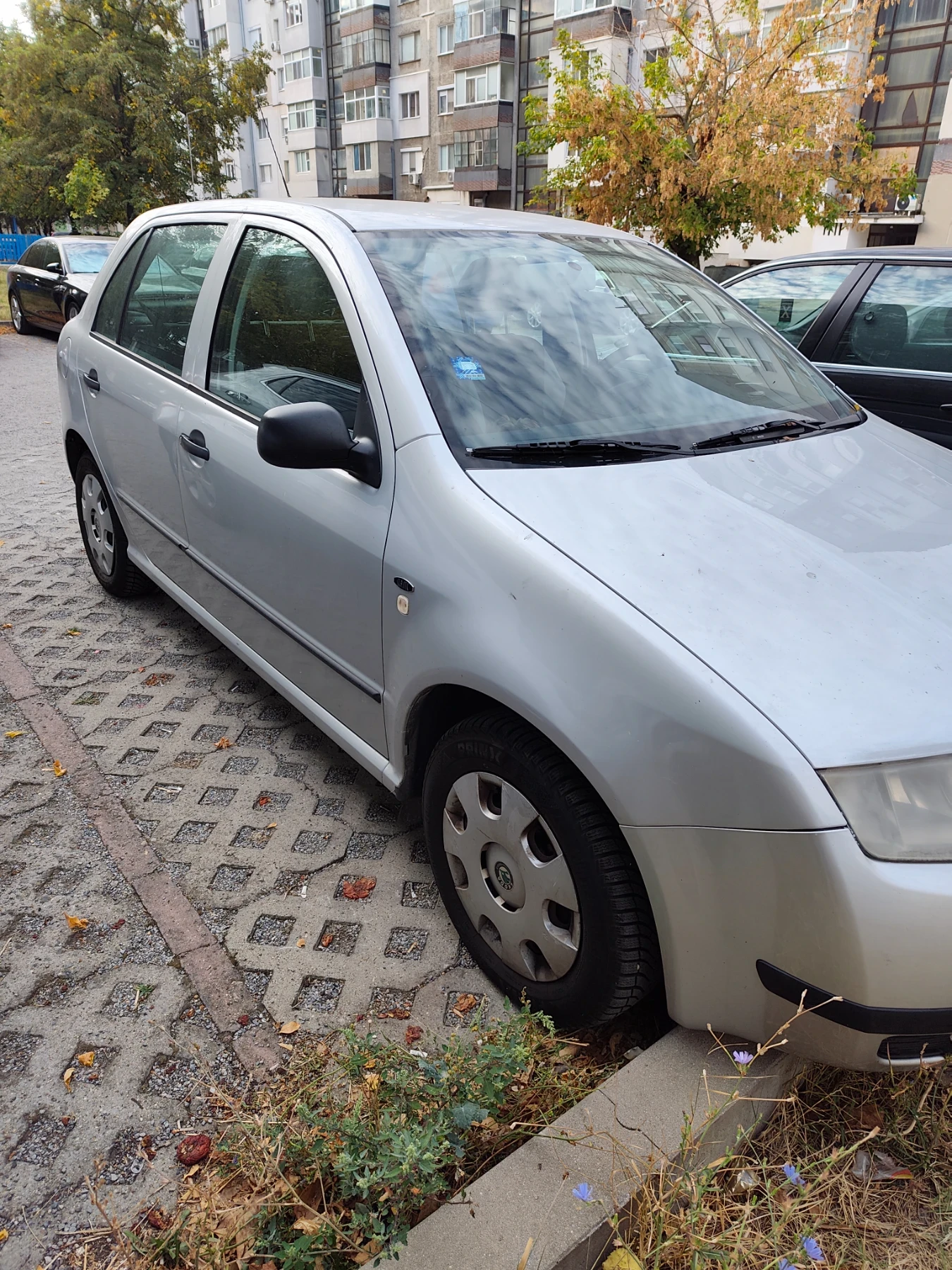 Skoda Fabia, снимка 3 - Автомобили и джипове - 56438139