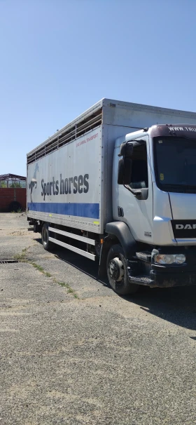 Daf CF CF 250, снимка 2