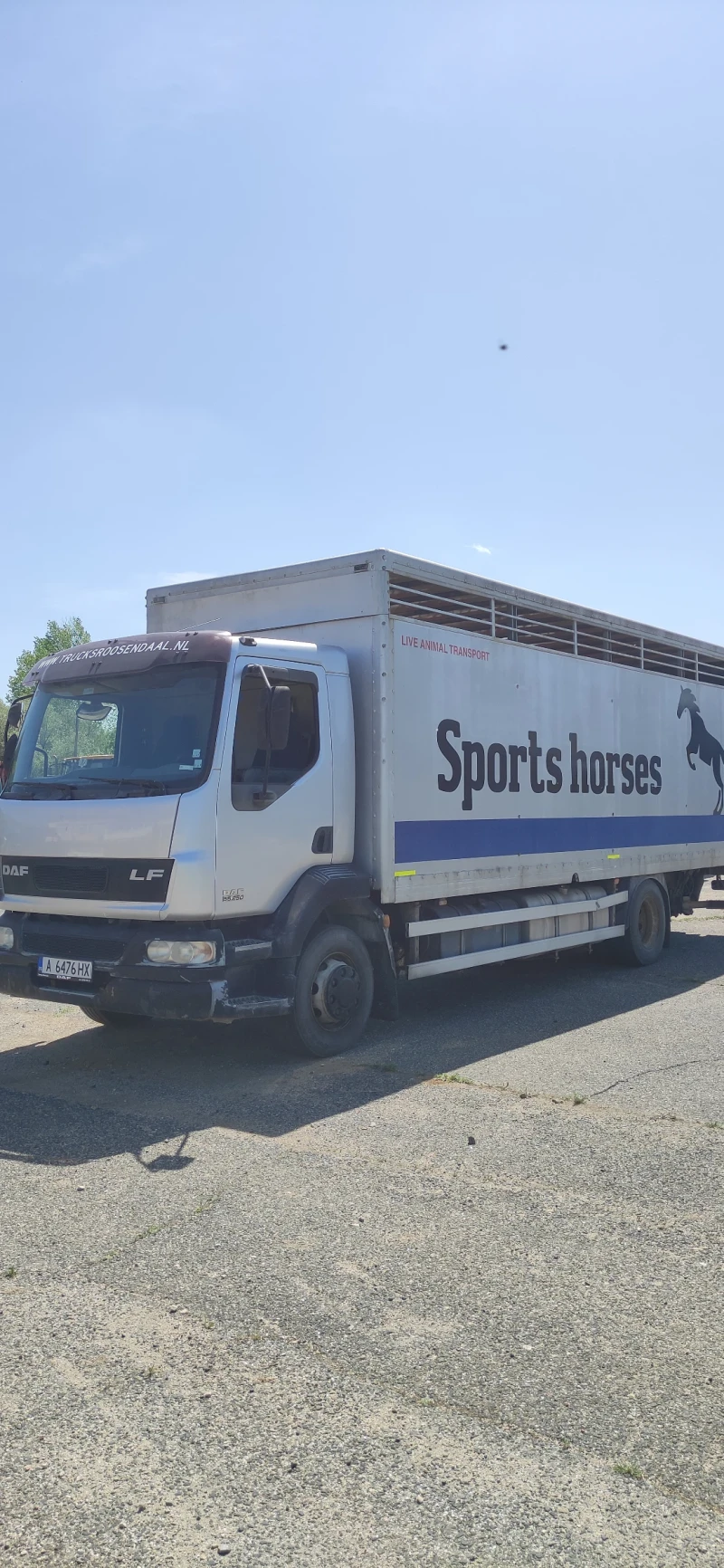 Daf CF CF 250