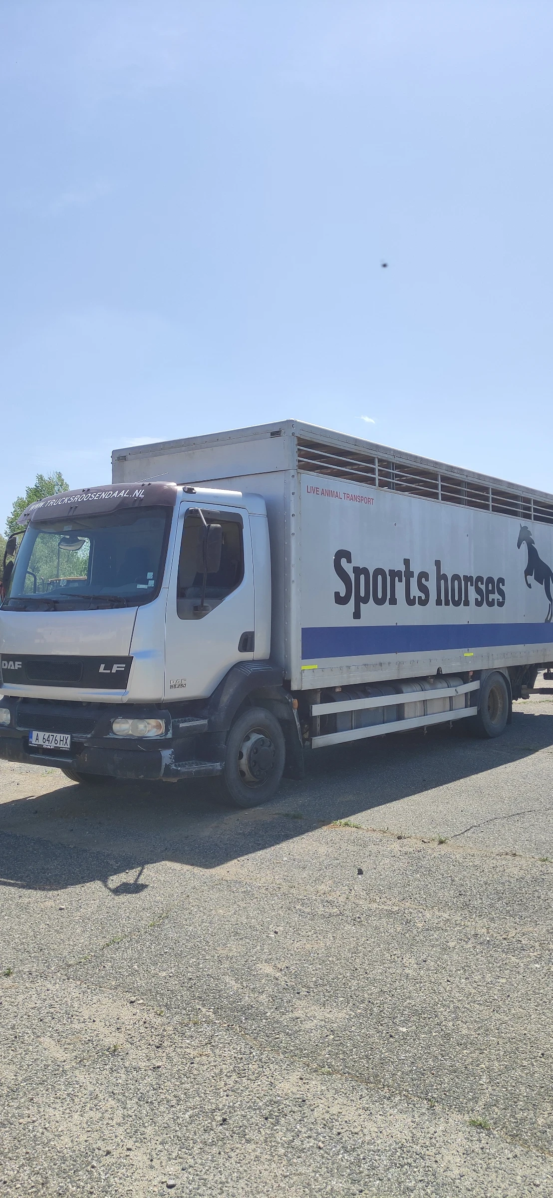 Daf CF CF 250 | Mobile.bg   1