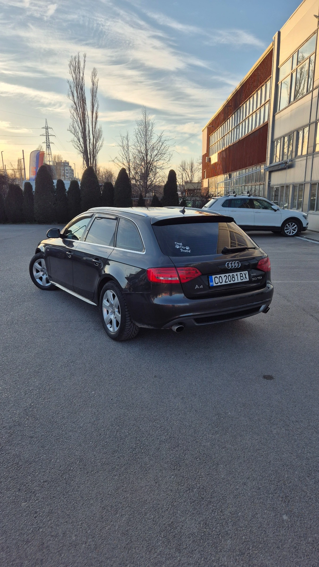 Audi A4 3.0 TDI, снимка 5 - Автомобили и джипове - 54214908
