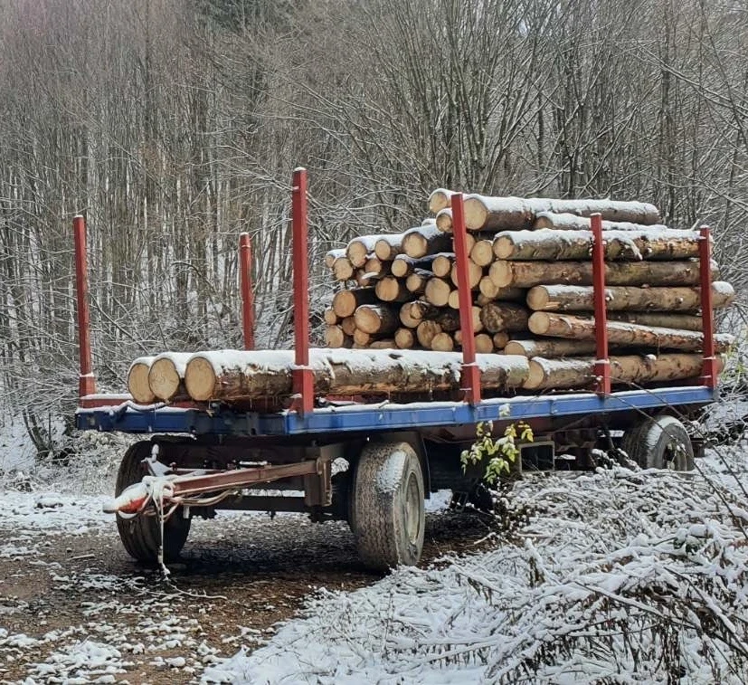 �� ������ | Mobile.bg � ����������� 1