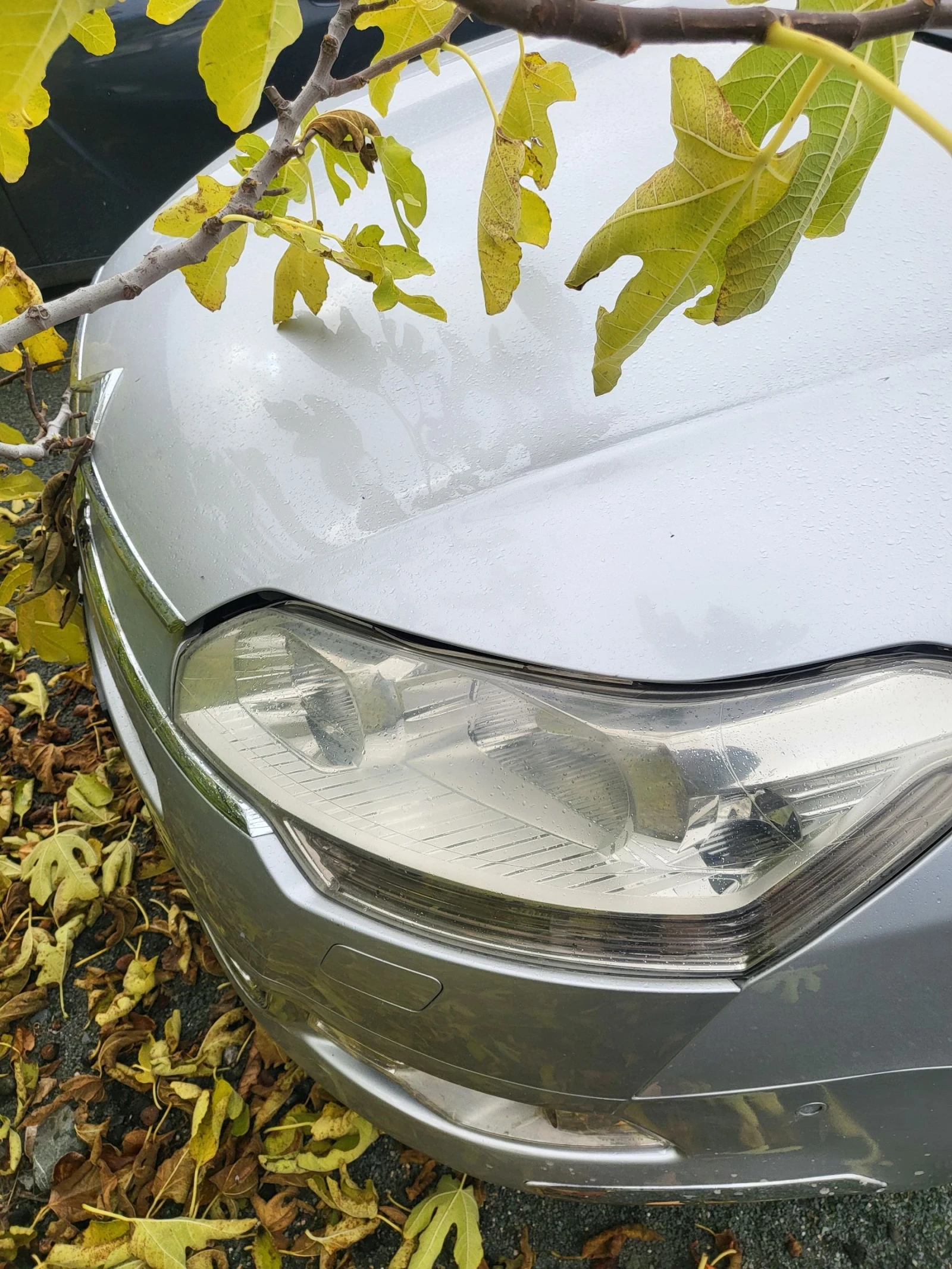 Citroen C5  - изображение 2