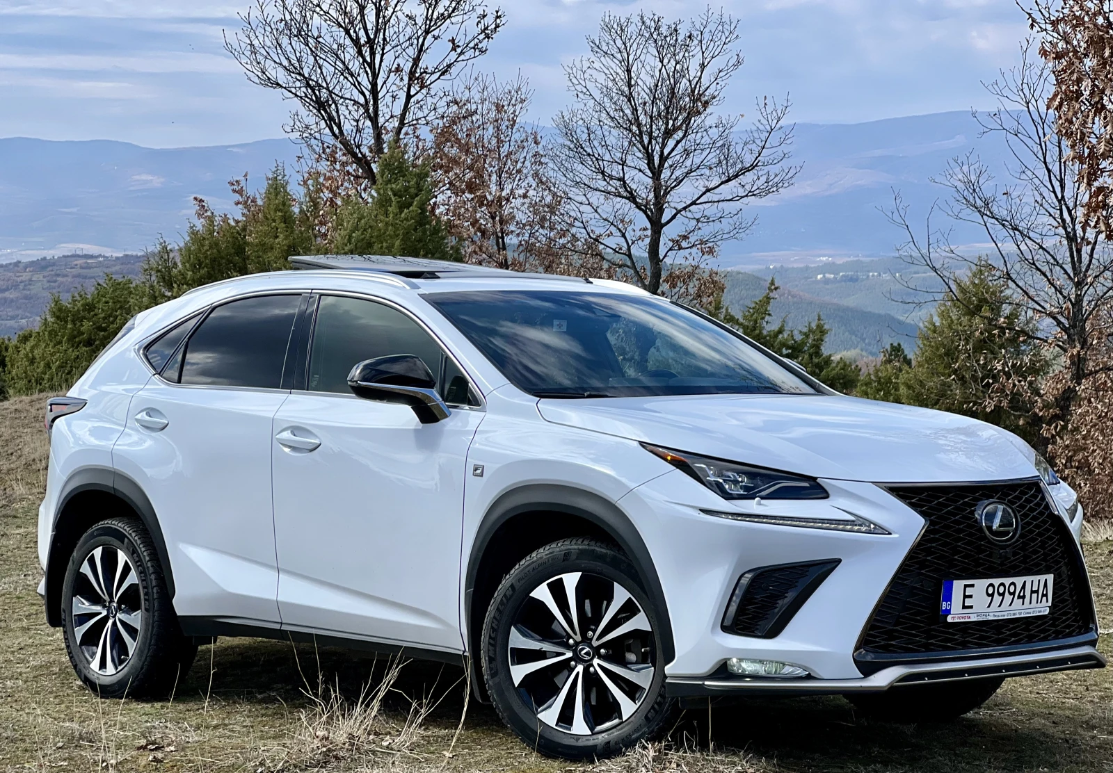 Lexus NX 300 F Sport | Mobile.bg   5