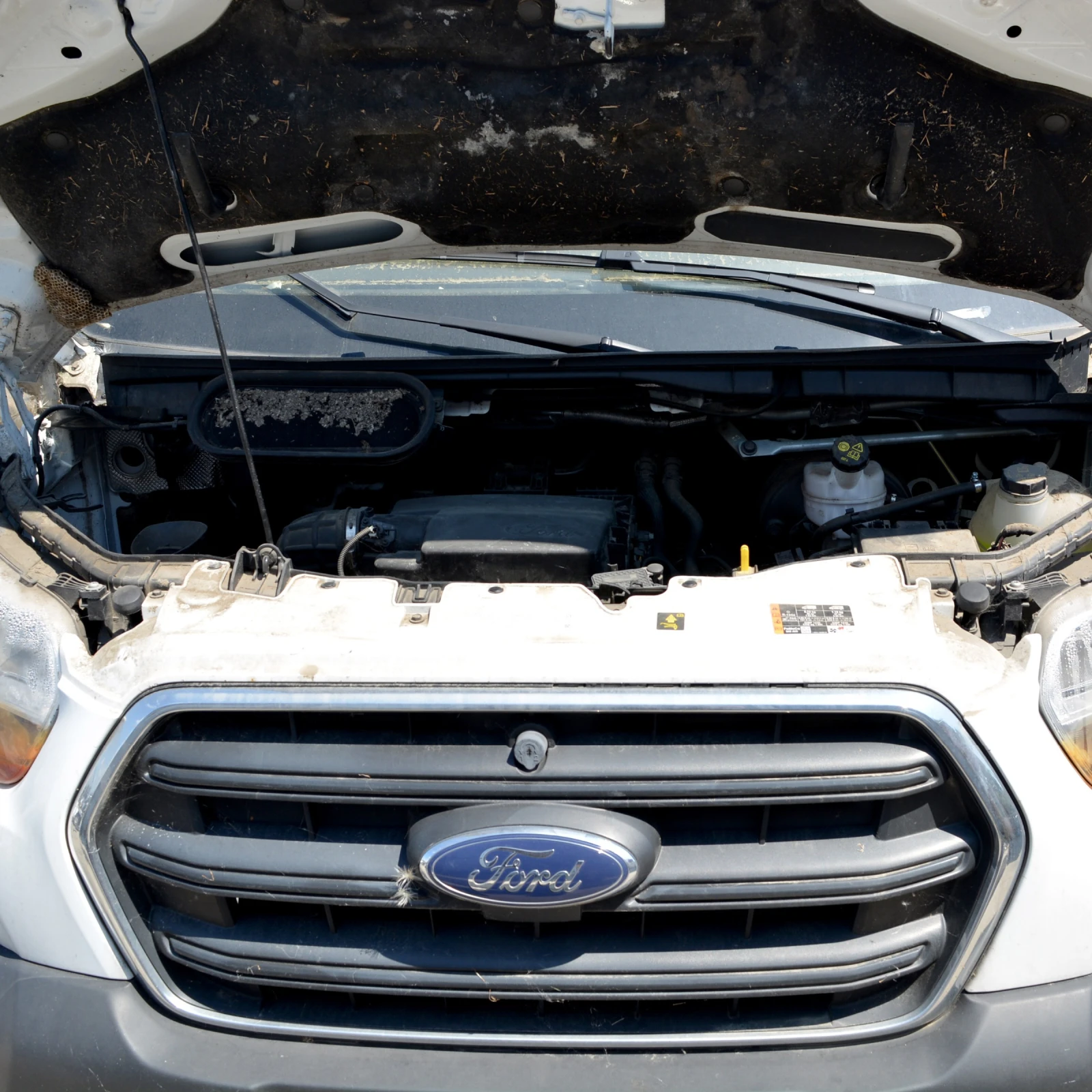 Ford Transit 2.0 EcoBlue, снимка 7 - Бусове и автобуси - 55306618