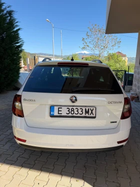 Skoda Octavia Skoda Octavia 1.5 G-TEC Метан, снимка 3