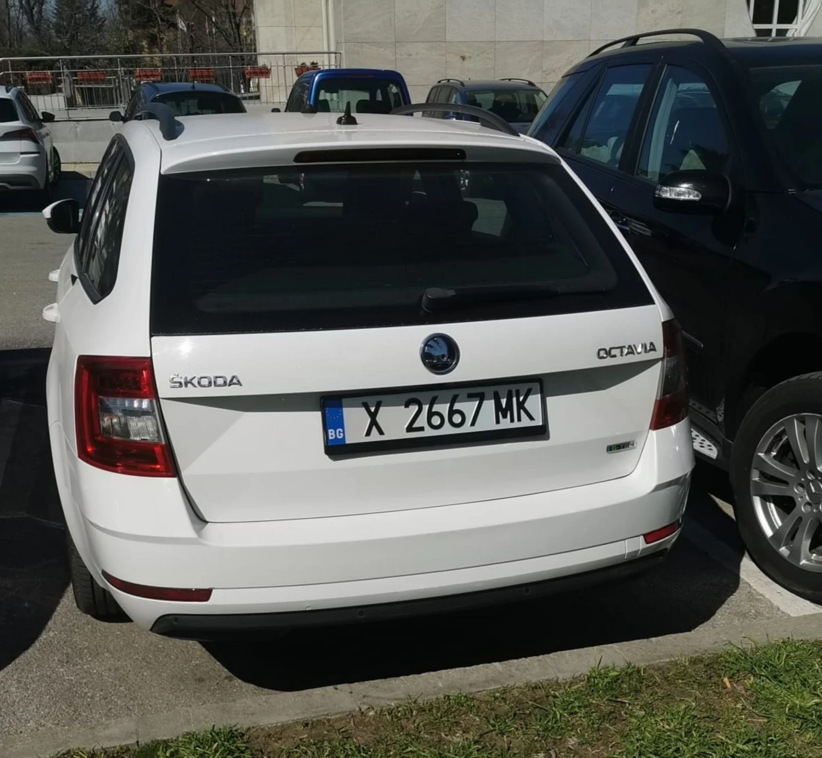 Skoda Octavia 1.5 CNG, снимка 3 - Автомобили и джипове - 53925260
