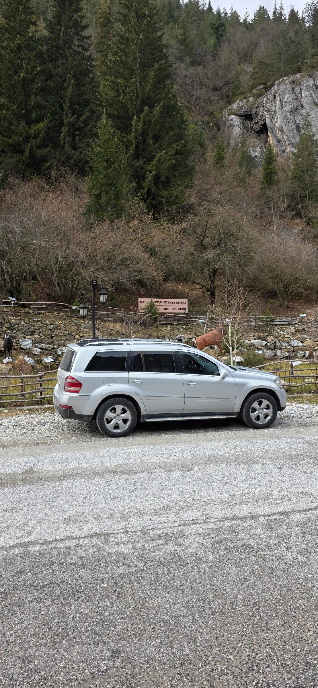 Mercedes-Benz GL 420, снимка 6 - Автомобили и джипове - 54044396