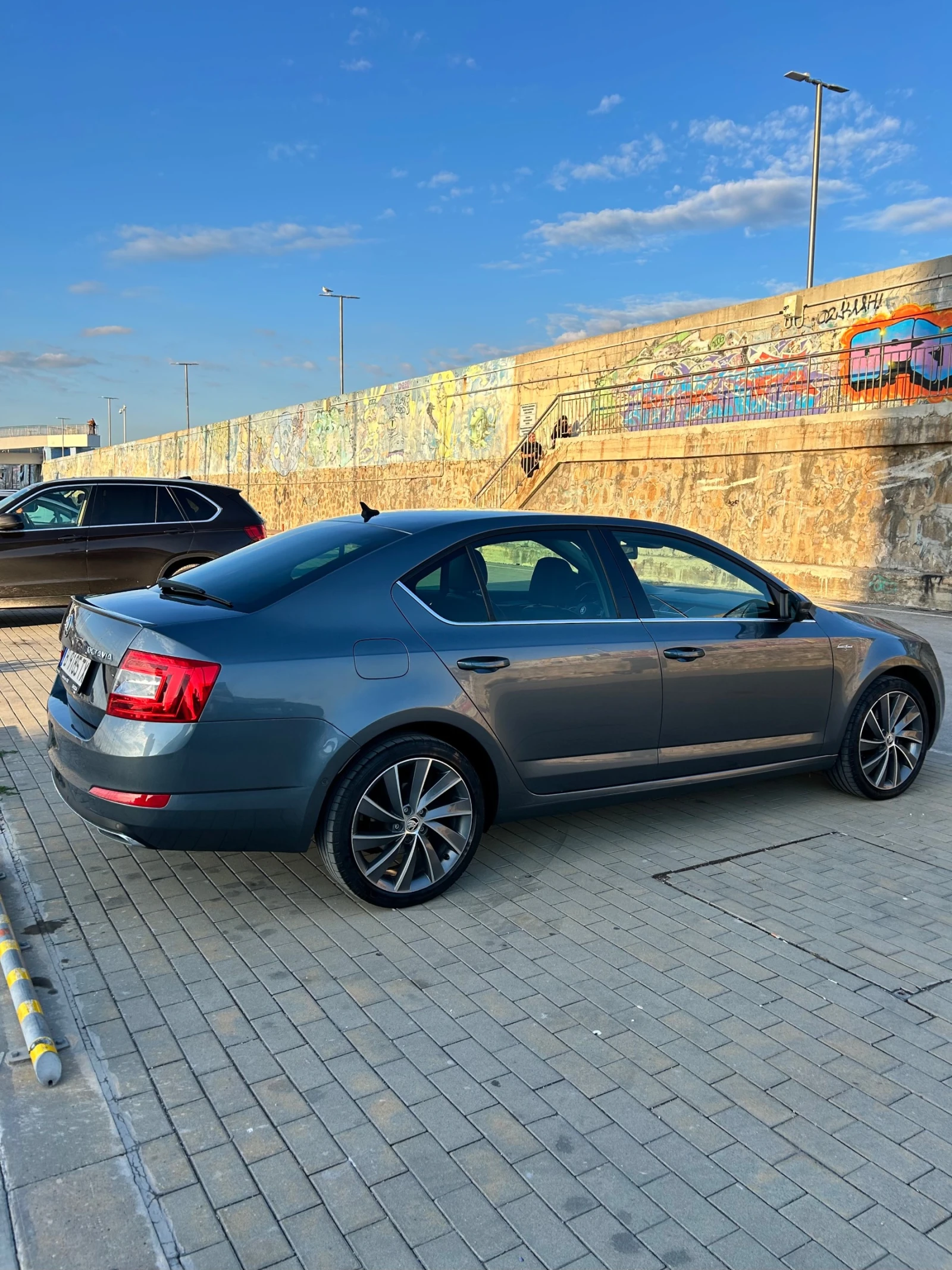 Skoda Octavia L&K 1.8TSi DSG - изображение 2