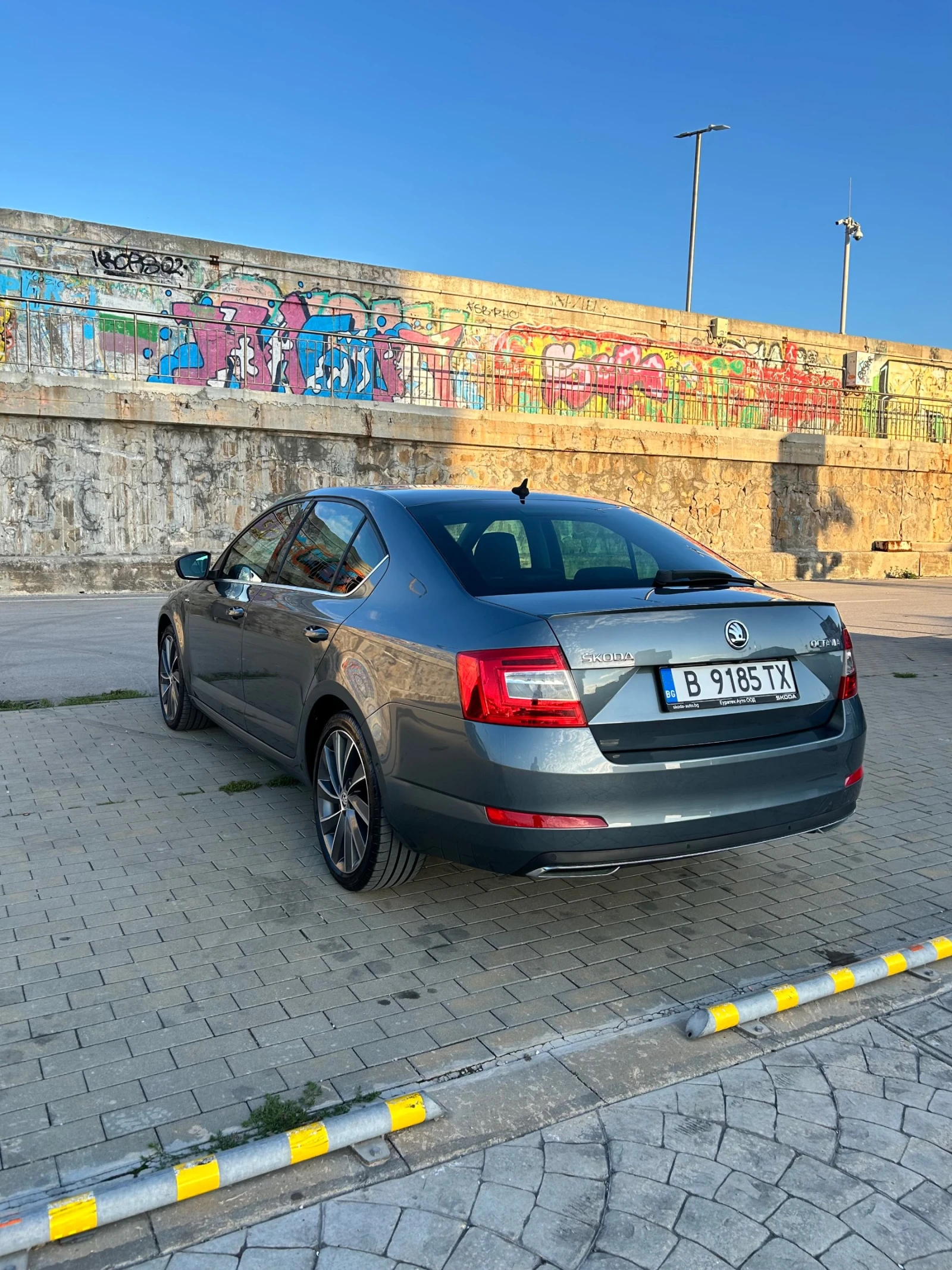 Skoda Octavia L&K 1.8TSi DSG - изображение 3