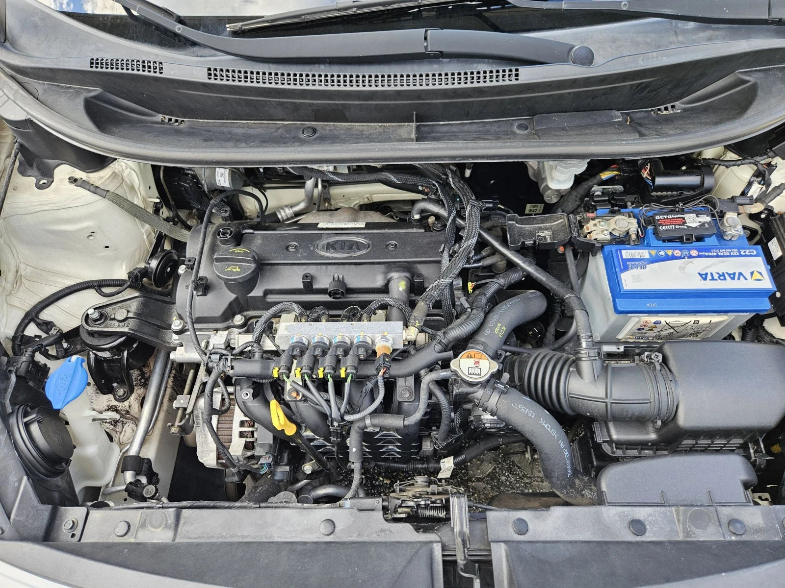 Kia Rio 1.2I-85=  = ΕURO 5Β | Mobile.bg   17