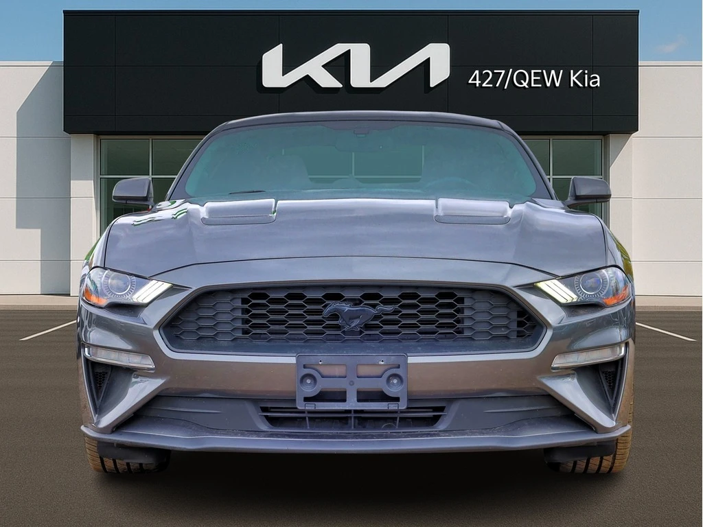 Ford Mustang ECOBOOST FASTBACK * * CARFAX * * АВТО КРЕДИТ * *  - изображение 3