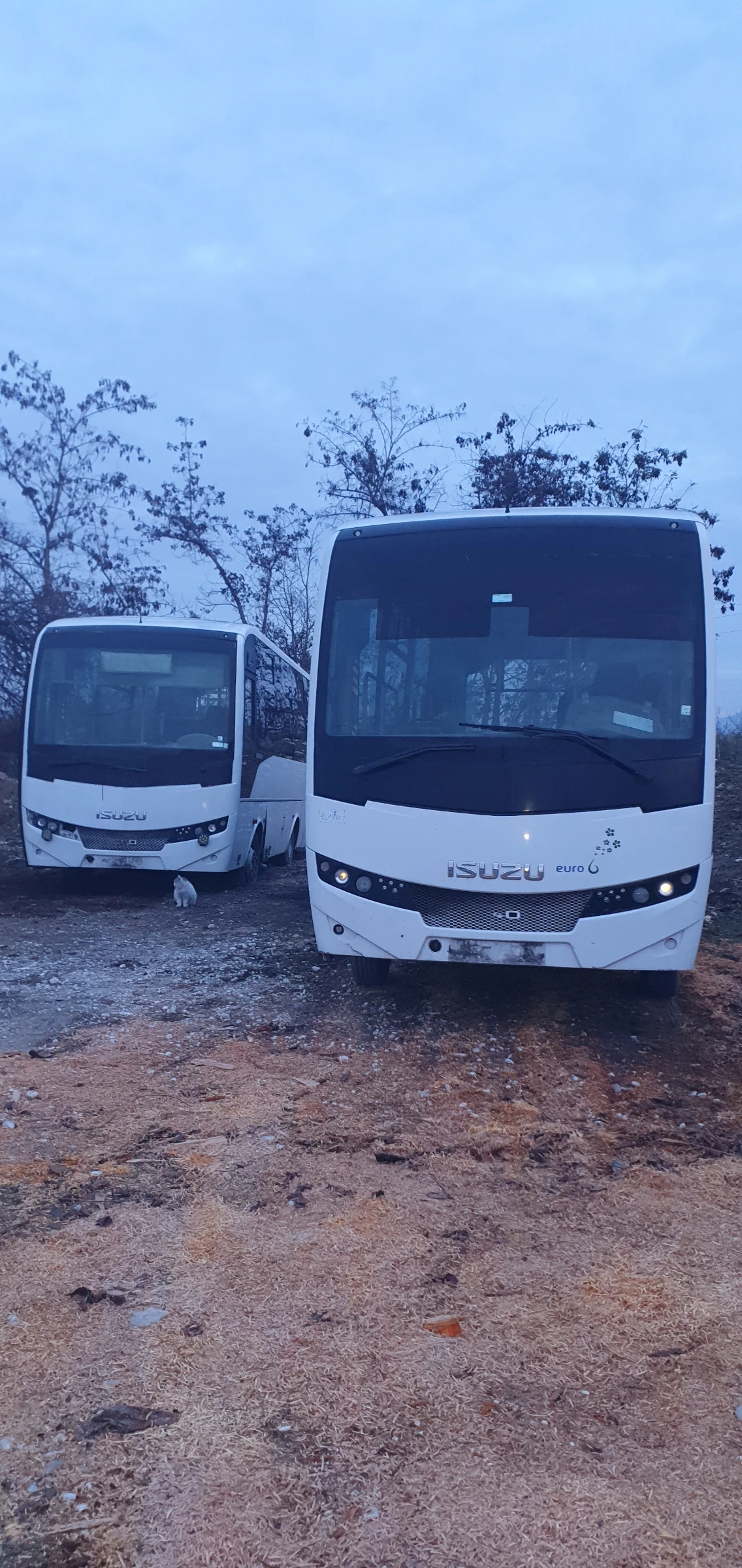 Isuzu Novocitti, снимка 1