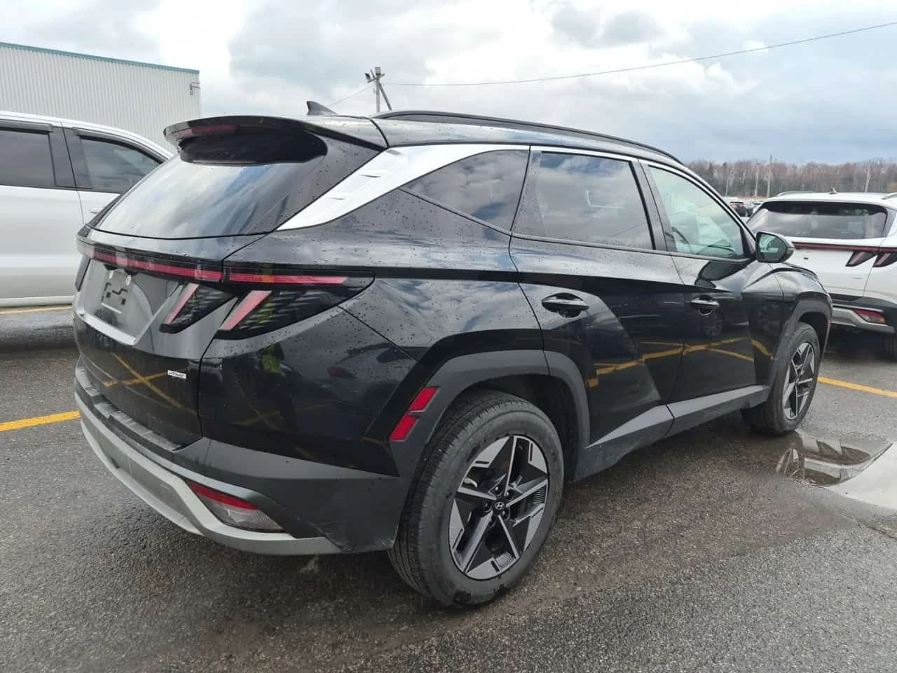 Hyundai Tucson * PREFERRED * АВТОКРЕДИТ БЕЗ ПЪРВОНАЧАЛНА, снимка 3 - Автомобили и джипове - 54604782