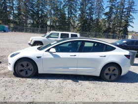 Tesla Model 3 | Mobile.bg � ����� ������ 15