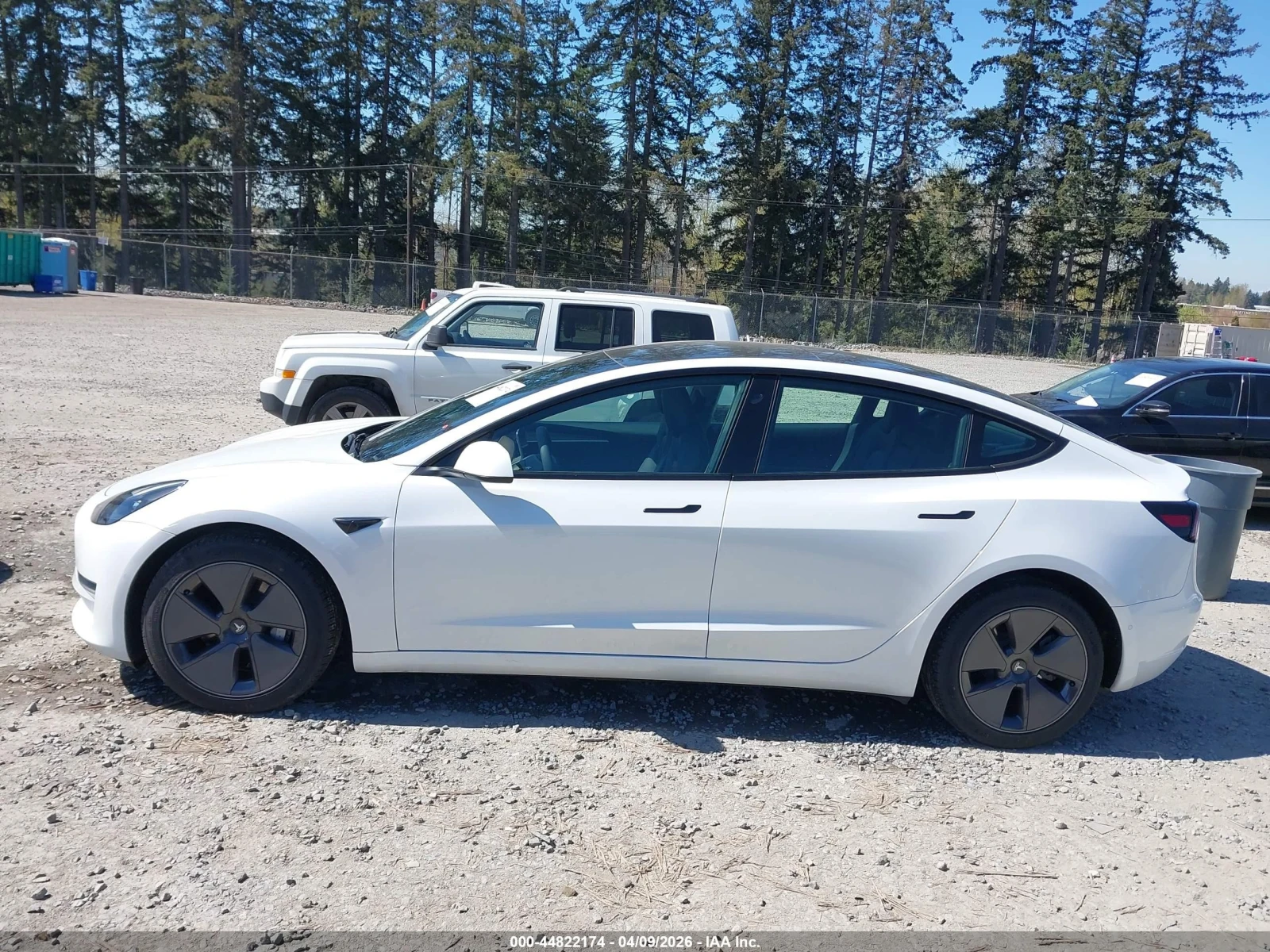 Tesla Model 3, снимка 15 - Автомобили и джипове - 54545289