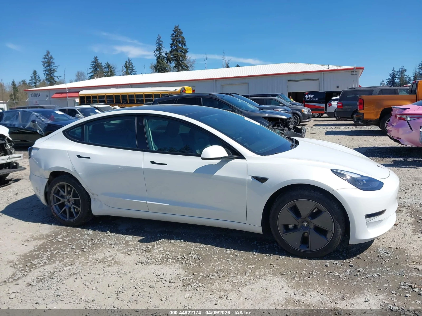 Tesla Model 3, снимка 14 - Автомобили и джипове - 54545289