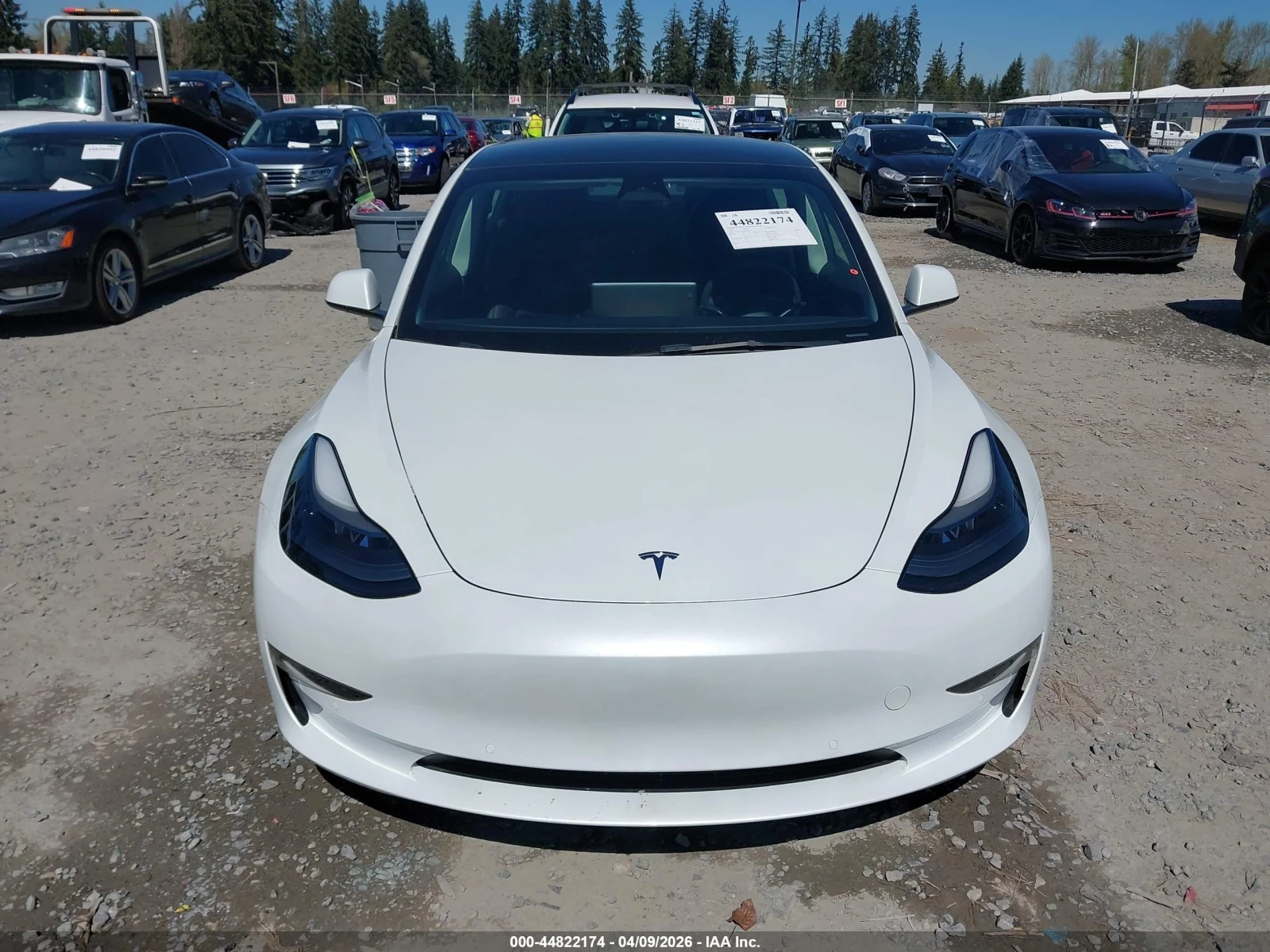 Tesla Model 3, снимка 13 - Автомобили и джипове - 54545289