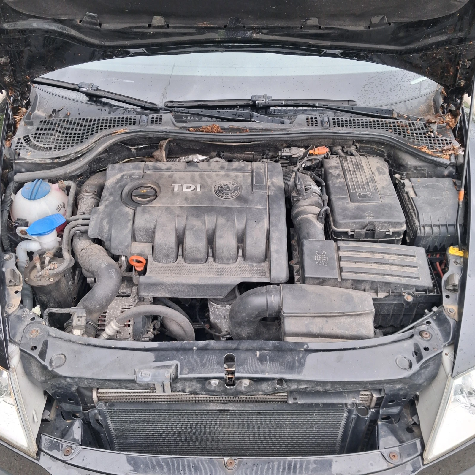 Skoda Octavia Scout, снимка 15 - Автомобили и джипове - 54671811