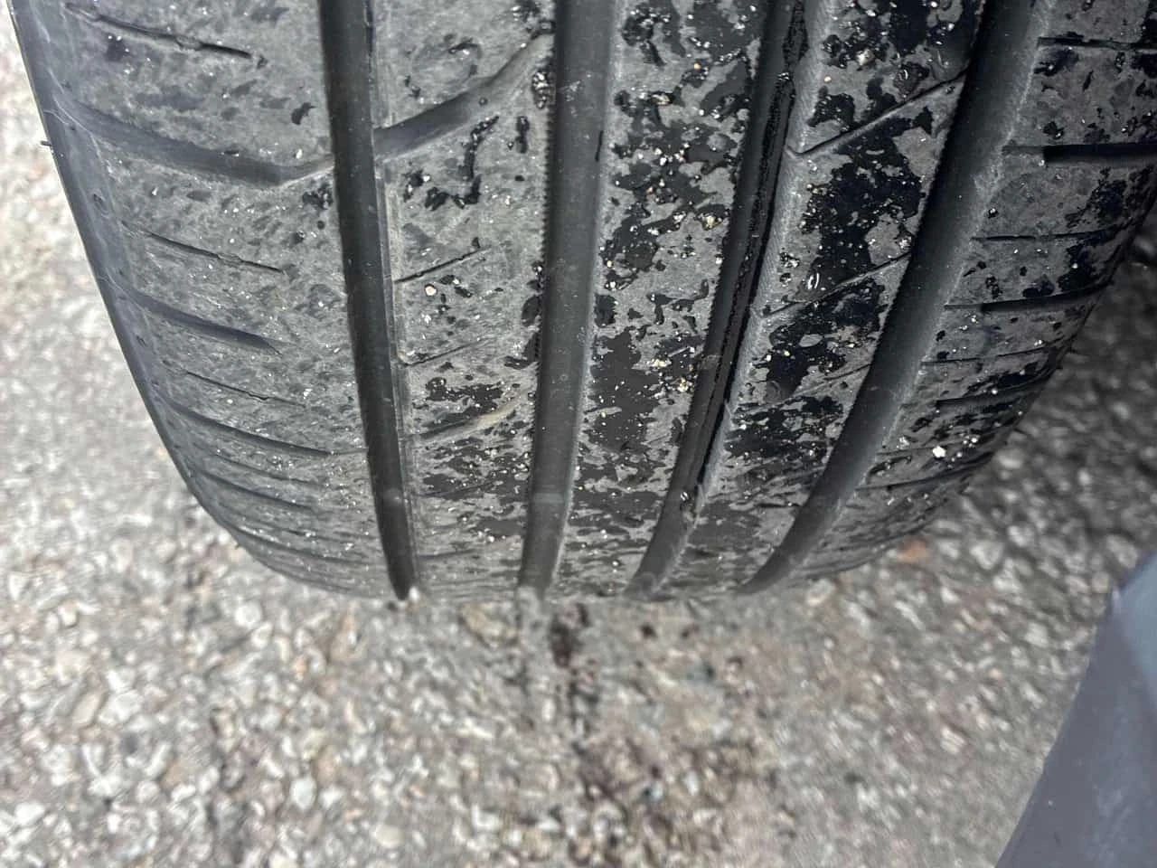 Toyota Corolla * SE CVT * CARFAX * �� ���������������� *  | Mobile.bg � ����������� 12