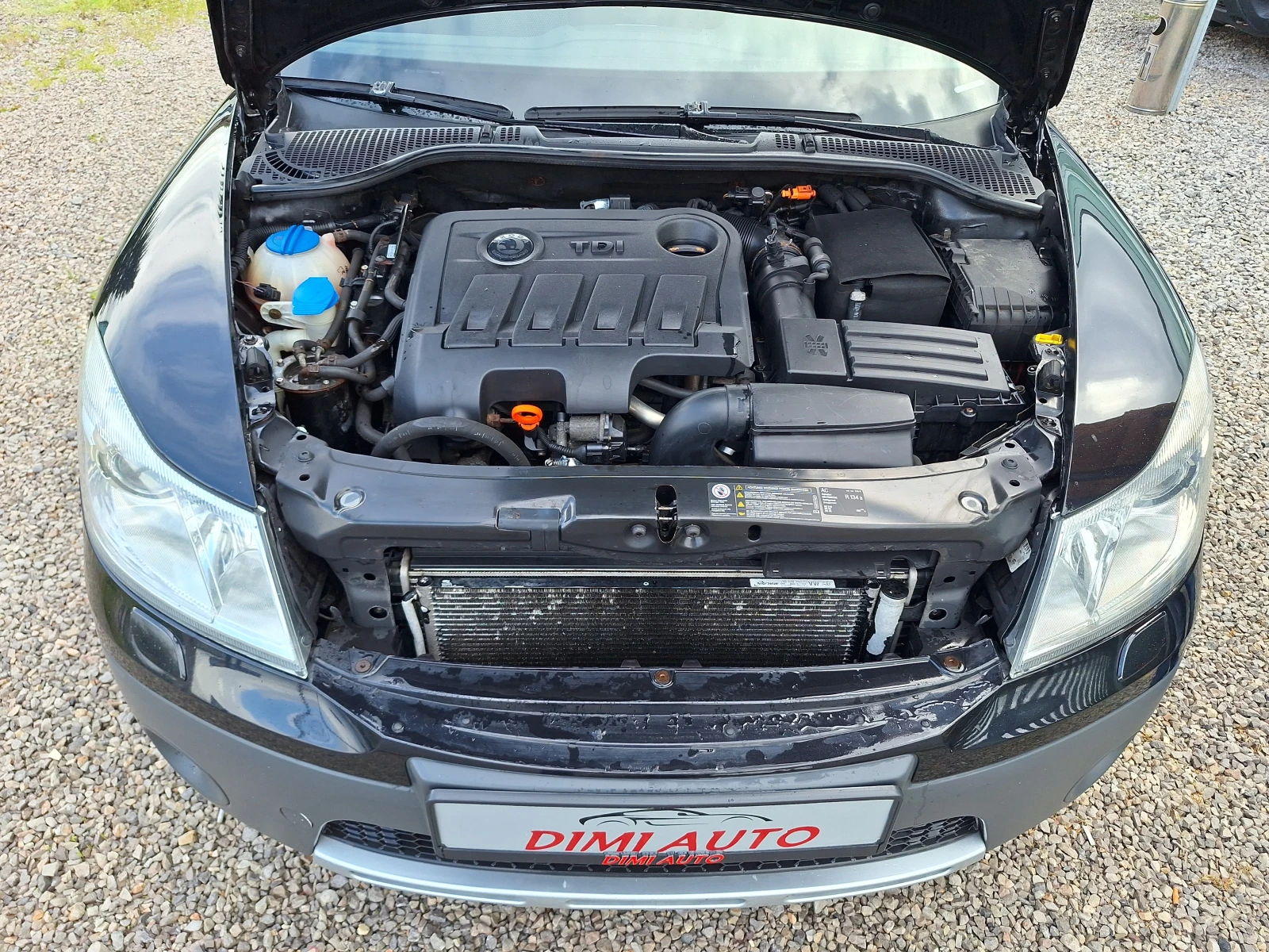 Skoda Octavia 2.0tdi 140ks 4x4 Skout! | Mobile.bg   17