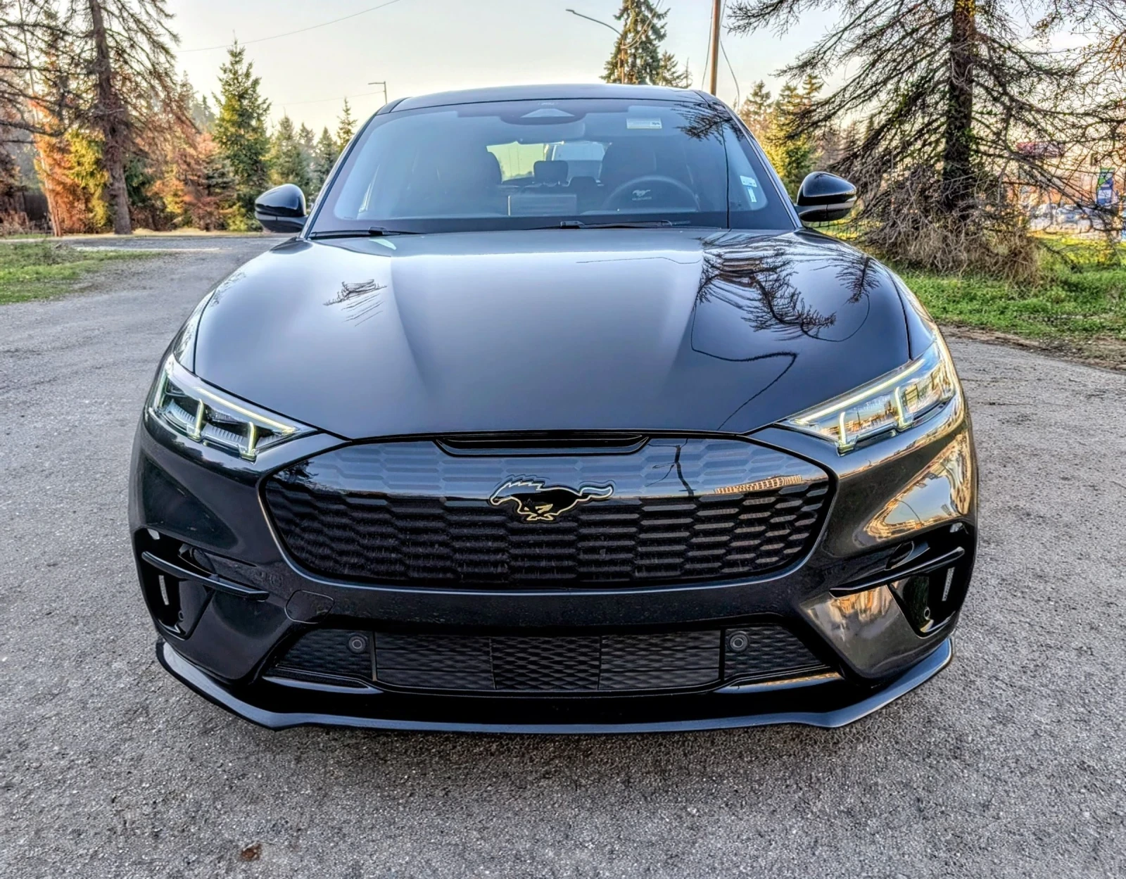 Ford Mustang Mach-E AWD GT PERFORMANCE | Mobile.bg   1