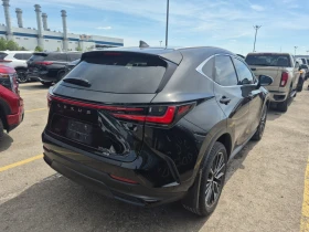 Lexus NX 350h undefined | Auto.bg — изображение 4