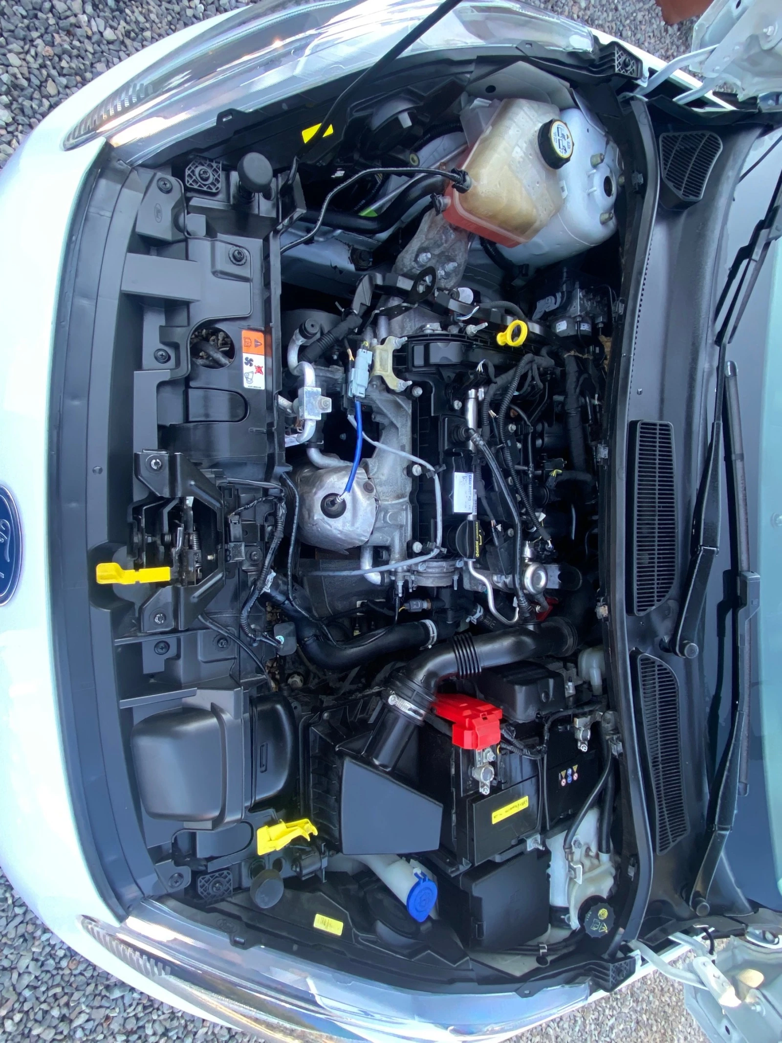 Ford Fiesta 1.0 Euro 5B | Mobile.bg — изображение 16