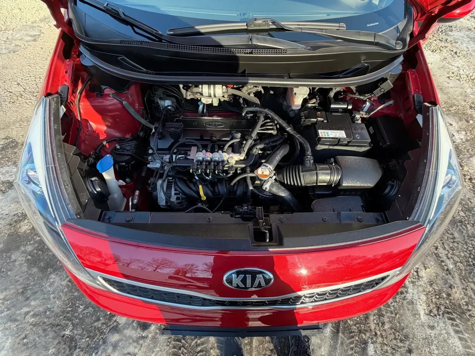 Kia Rio 1.25BENZIN* LPG* FACE* 06.07.2016* EVRO6 | Mobile.bg � ����������� 14