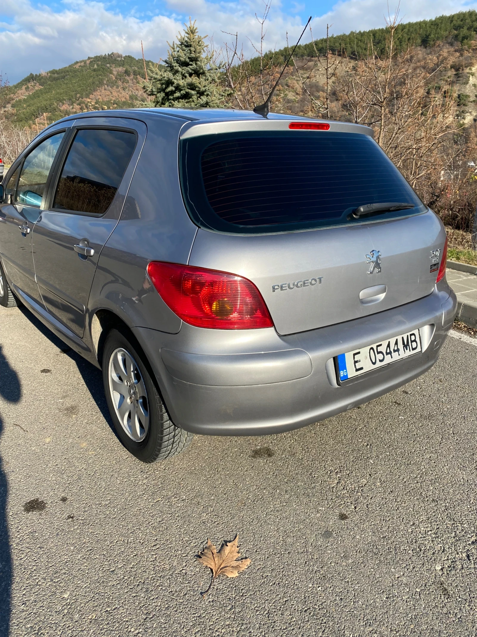 Peugeot 307 2.0HDI, снимка 3 - Автомобили и джипове - 56663232