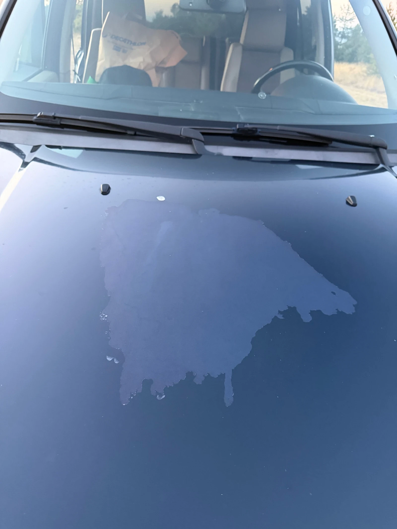 Land Rover Range Rover Sport 2.7 v6, снимка 10 - Автомобили и джипове - 56125509