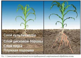  VELES AGRO ZEUS 6 VERTI TILL | Mobile.bg    11