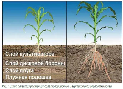 Брана VELES AGRO ZEUS 6 VERTI TILL, снимка 11 - Селскостопанска техника - 33226132