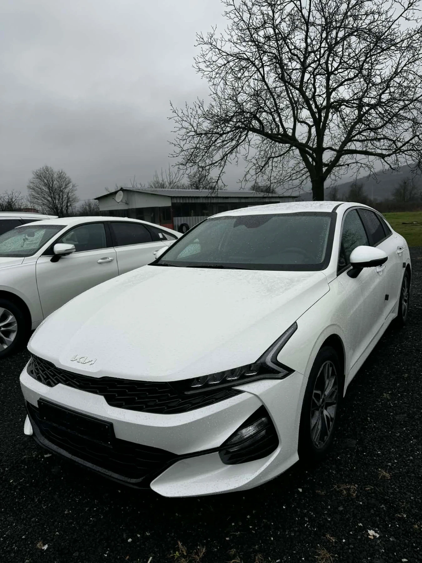 Kia K5 �������* LPG* TRENDY | Mobile.bg � ����������� 1