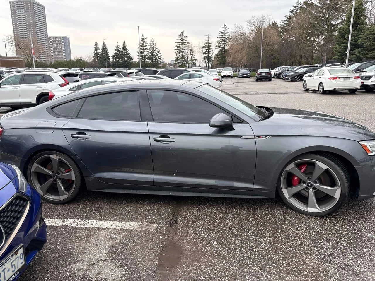 Audi S5 * Technik * ГЛАВНО ПРЕДСТАВИТЕЛСТВО* ДИСТРОНИК* , снимка 4 - Автомобили и джипове - 54229241