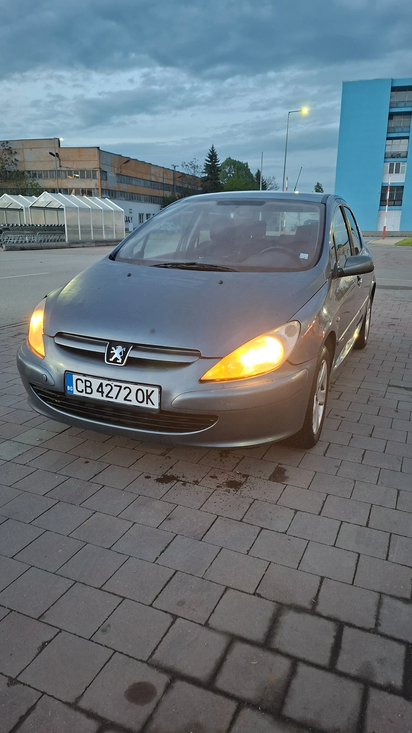 Peugeot 307 1.6, снимка 12 - Автомобили и джипове - 54579728