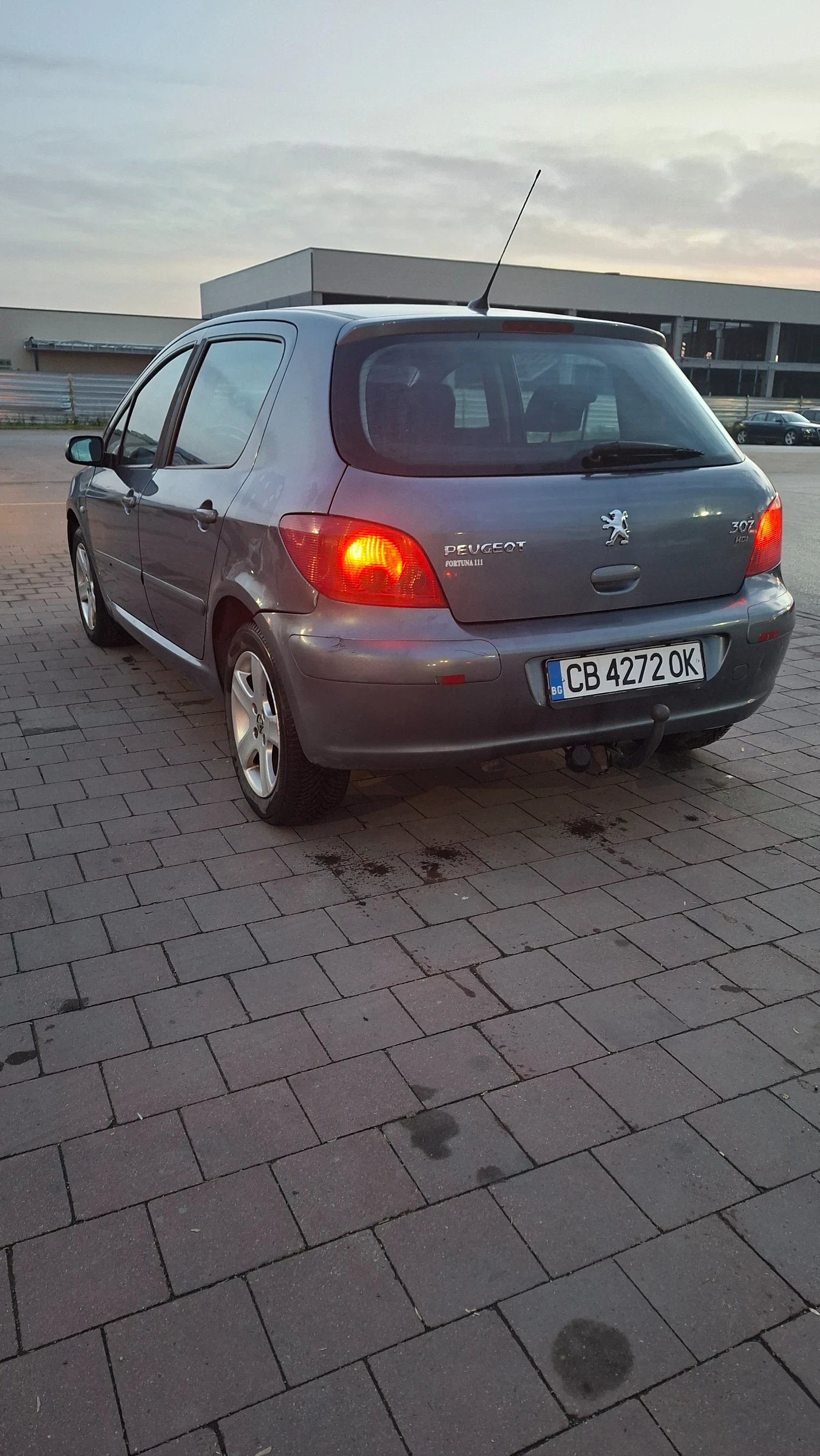 Peugeot 307 1.6, снимка 5 - Автомобили и джипове - 54579728