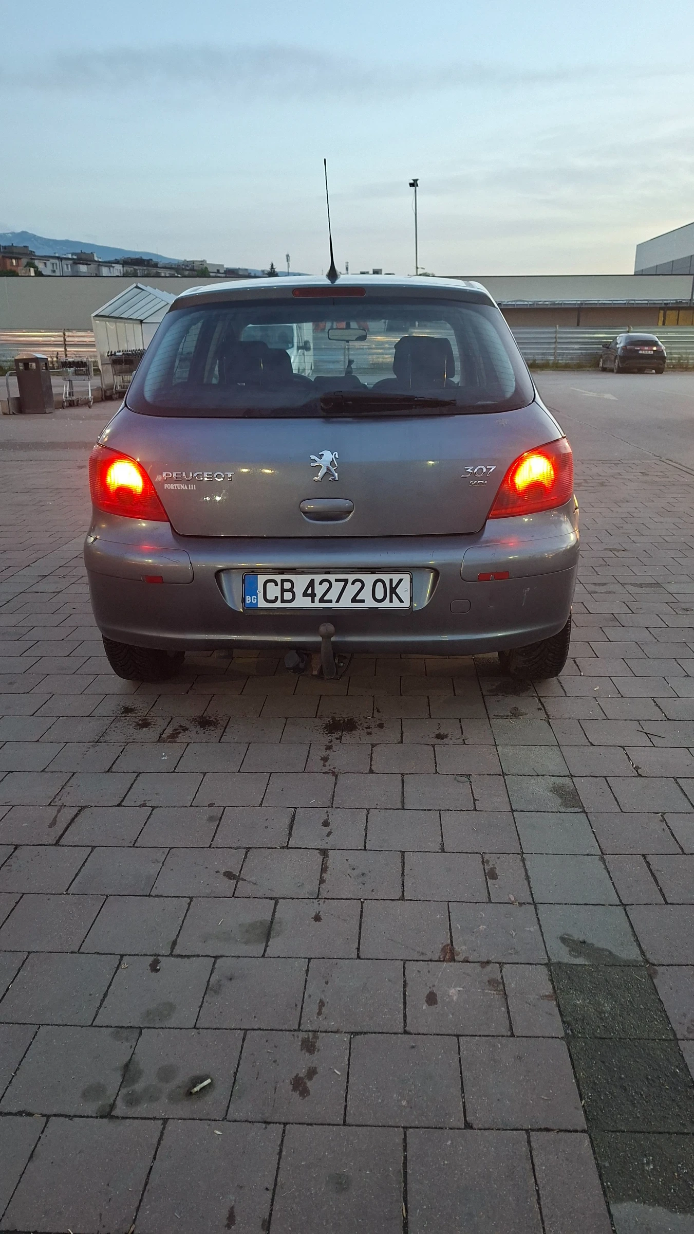 Peugeot 307 1.6, снимка 6 - Автомобили и джипове - 54579728
