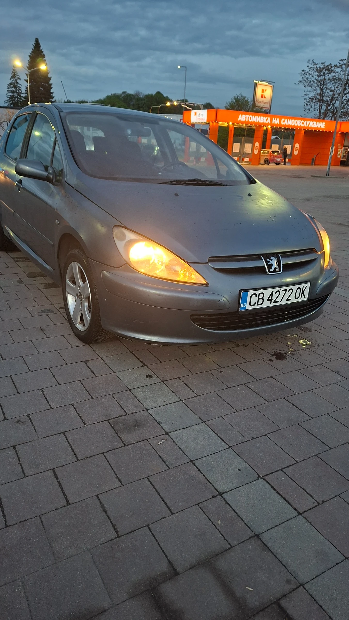 Peugeot 307 1.6, снимка 10 - Автомобили и джипове - 54579728