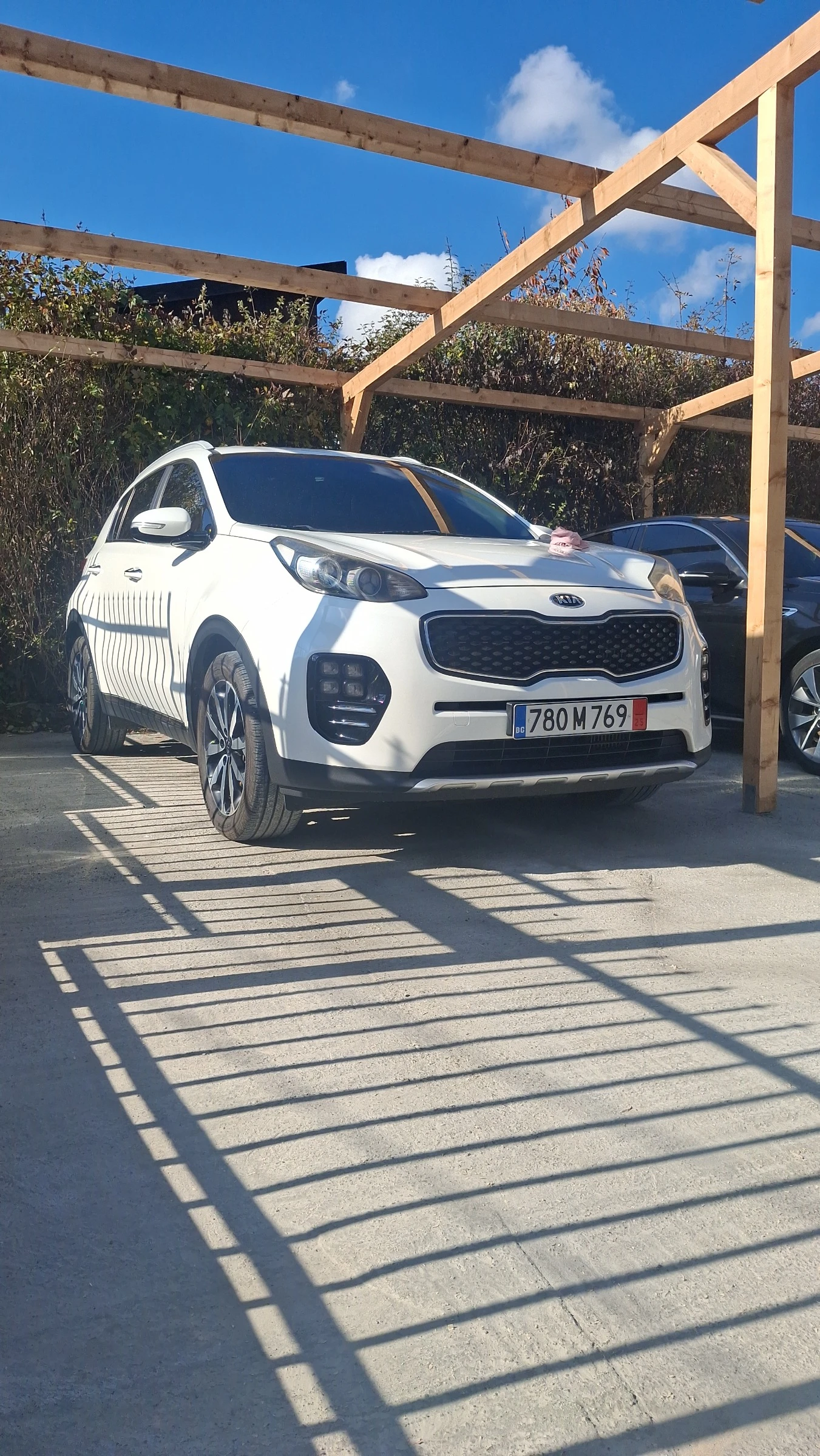 Kia Sportage  - изображение 5