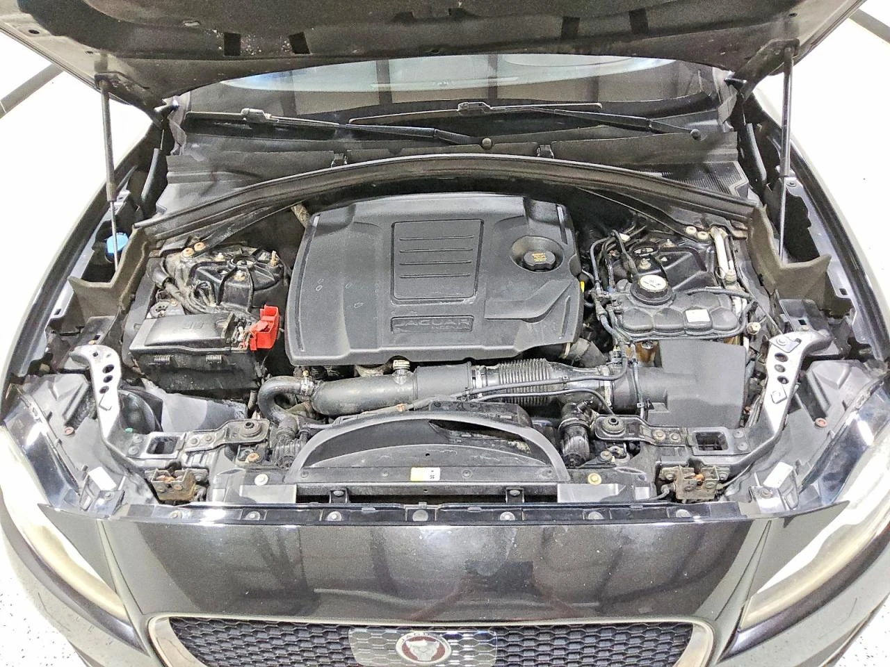 Jaguar F-PACE | Mobile.bg � ����������� 12