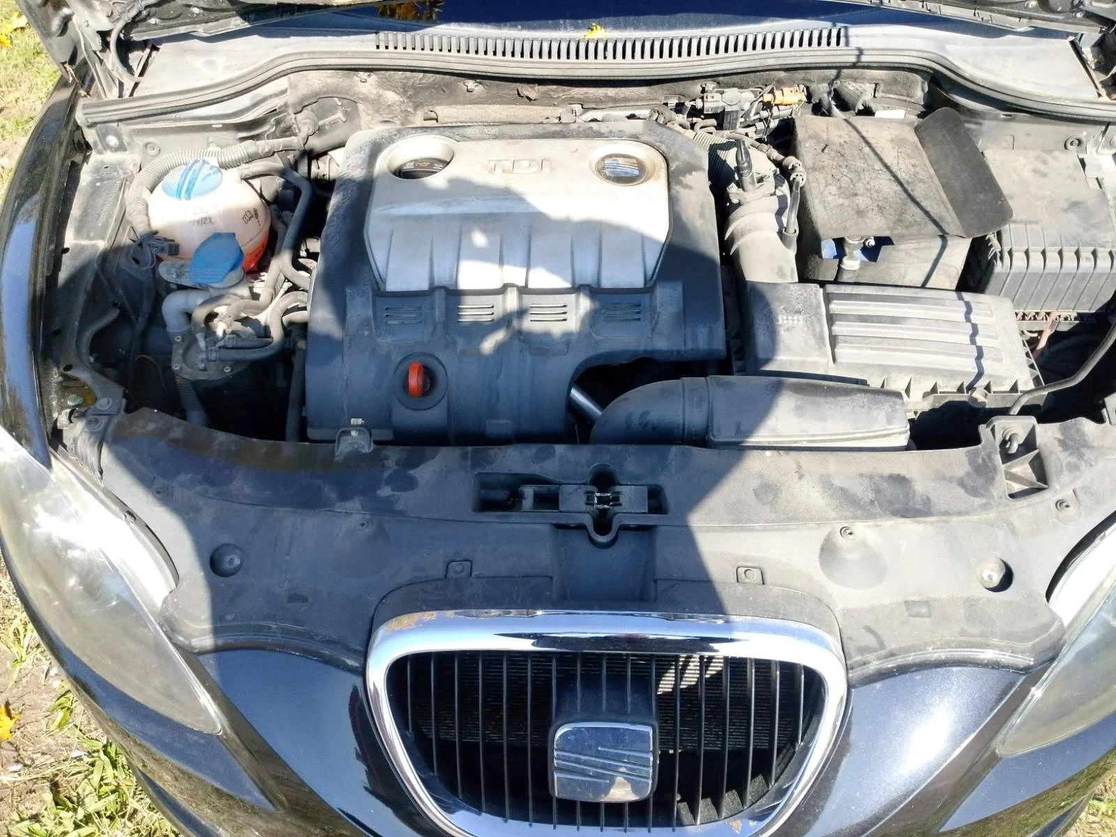 Seat Leon 2 - изображение 8