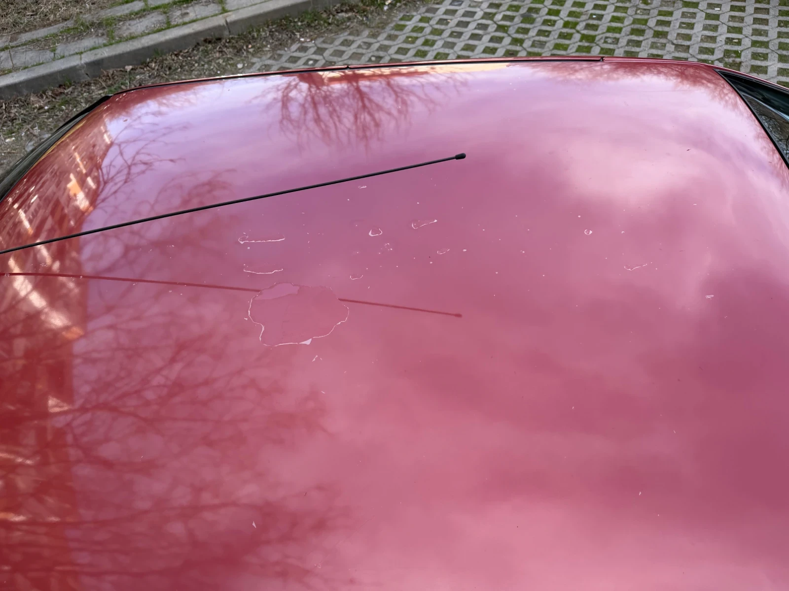 Peugeot 406, снимка 8 - Автомобили и джипове - 54067176