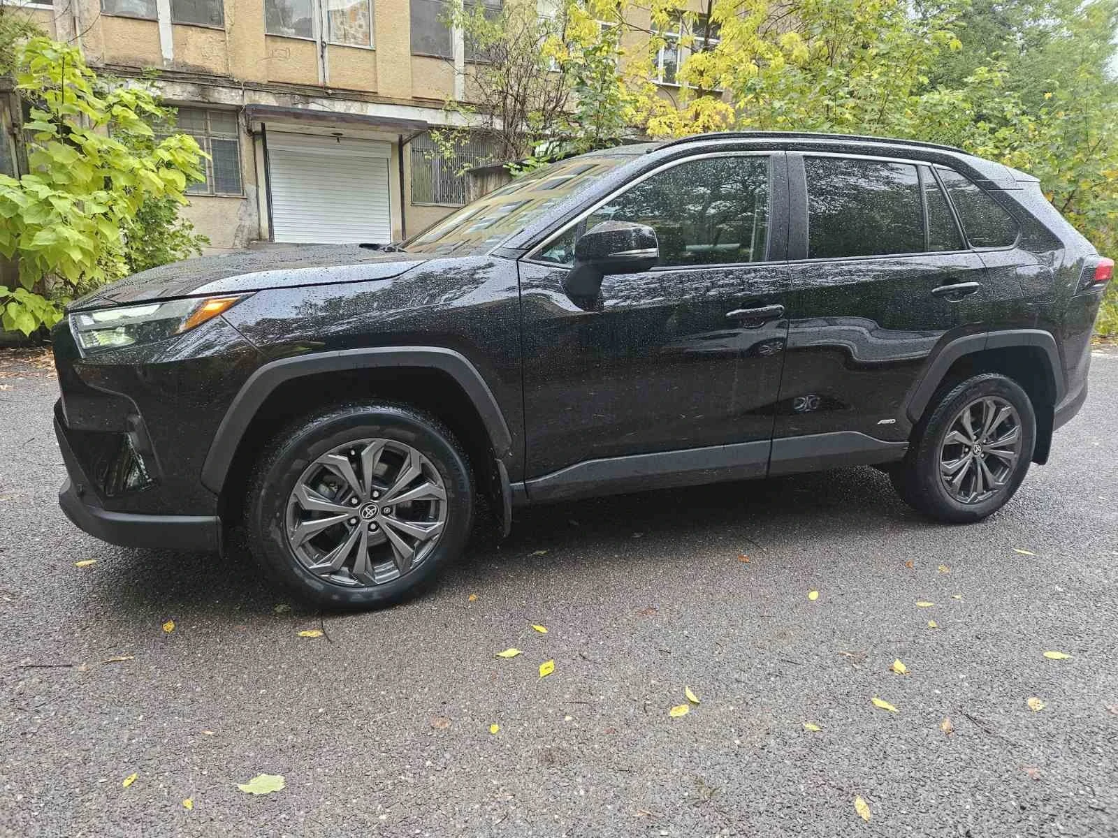 Toyota Rav4 XLE Woodland Edition - изображение 3