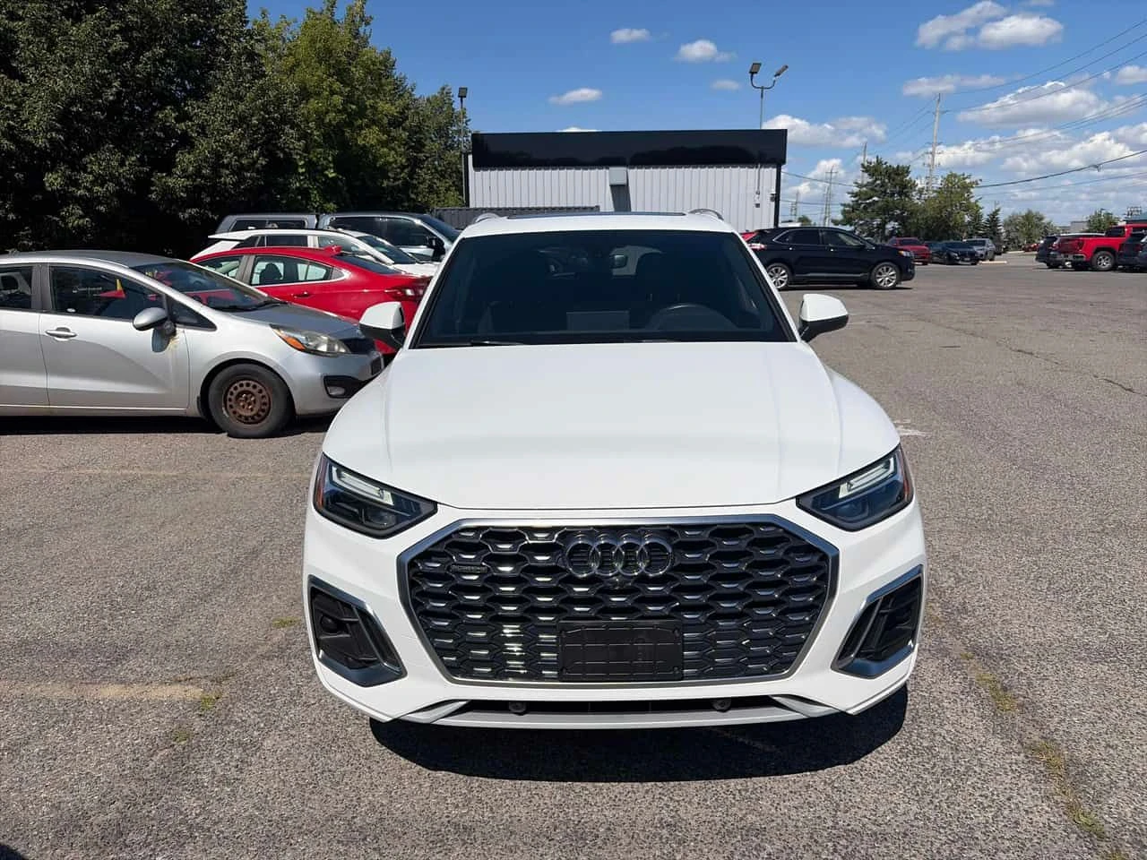 Audi Q5 * Progressiv * CARFAX * ЦЕНА ДО БГ, снимка 6 - Автомобили и джипове - 55510072