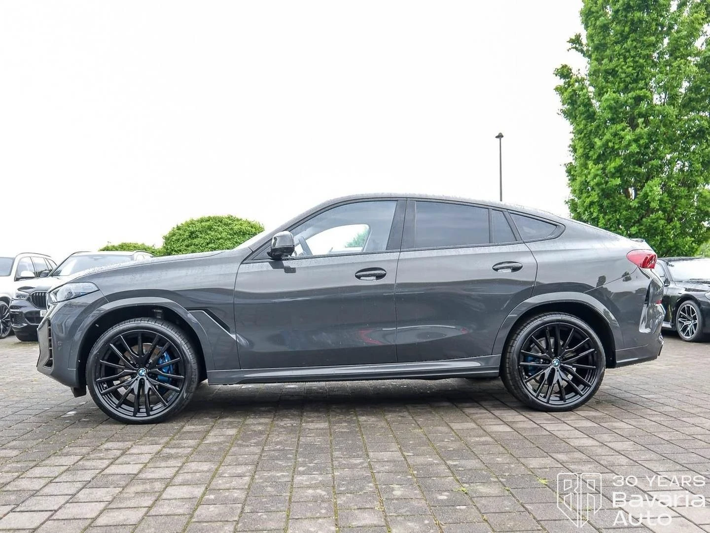 BMW X6 30d xDrive Sport-Automatic "M Sport" | Mobile.bg � ����������� 2